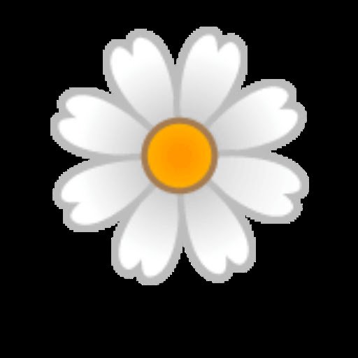 Photo from customer review